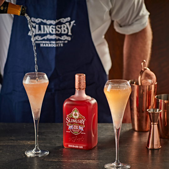 Rhubarb & Sloe Fizz