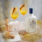 SLINGSBY VODKA CLEMENTINE FIZZ