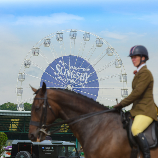 GREAT YORKSHIRE SHOW 2019
