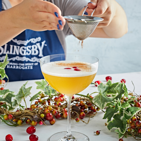 CHEERS TO CHRISTMAS COCKTAILS!