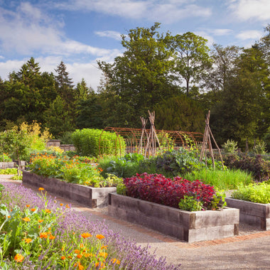 The story of our Yorkshire botanicals